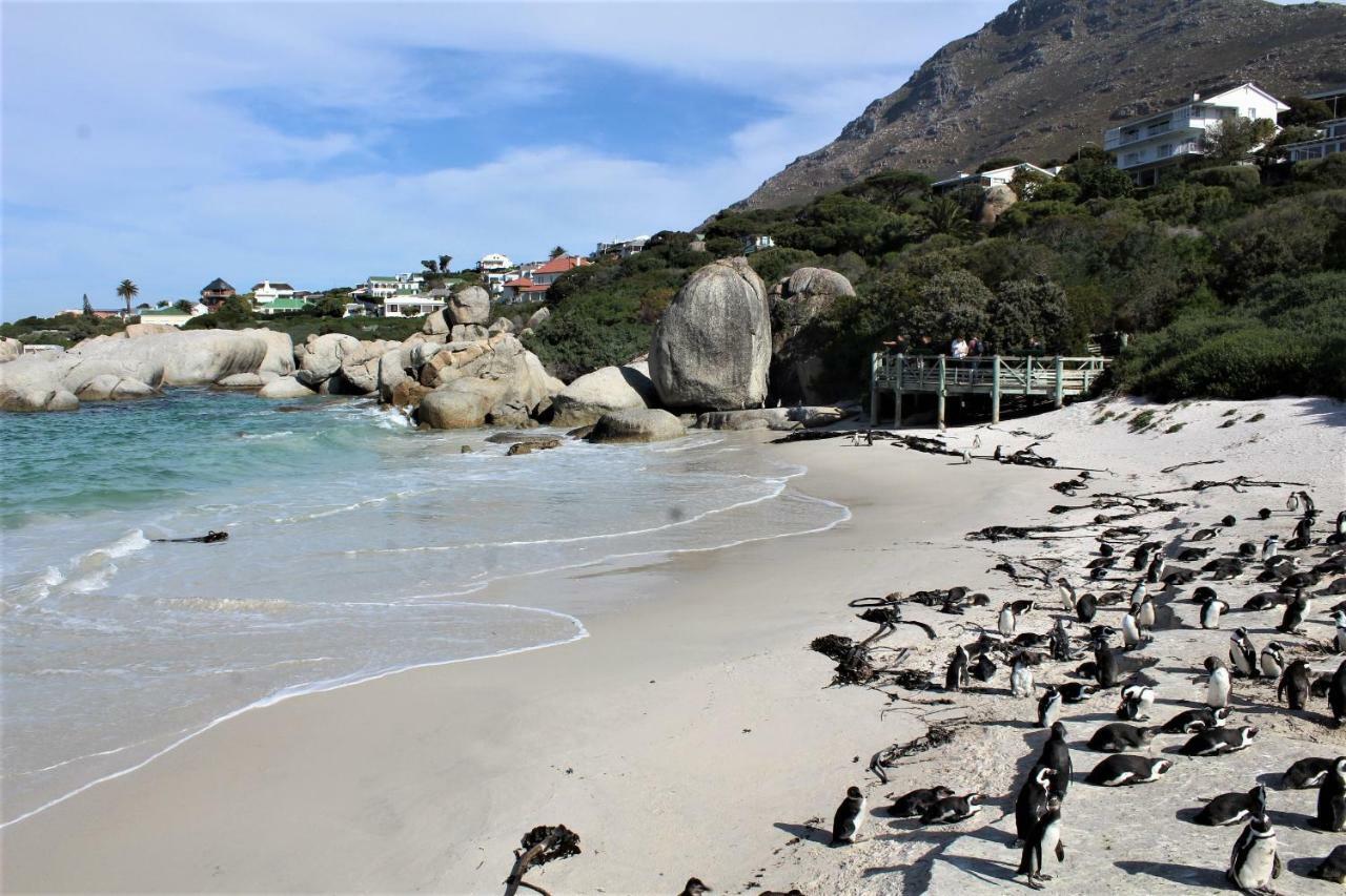 South Peninsula Beach Apartment 开普敦 外观 照片